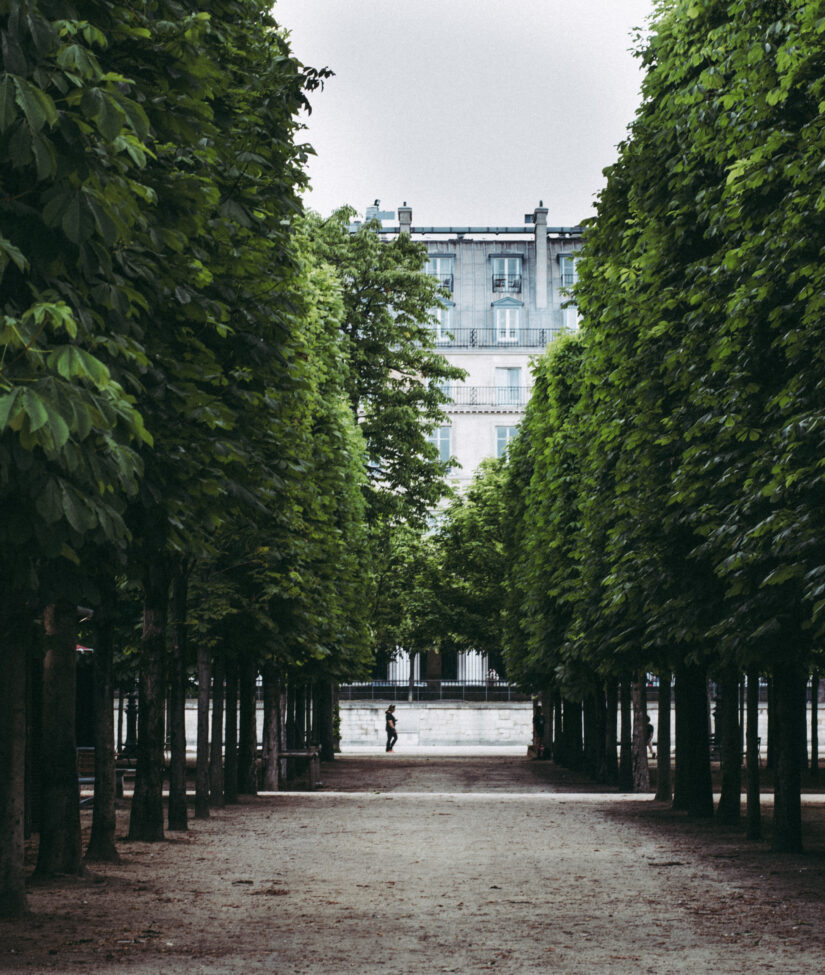 jardin des tuileries paris france sofia chang 4